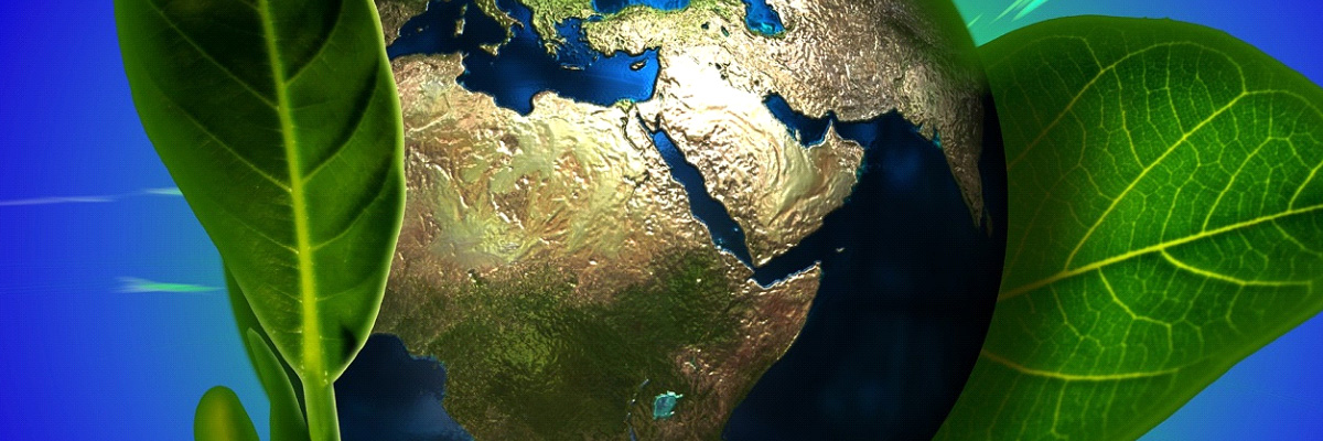 �����̹���